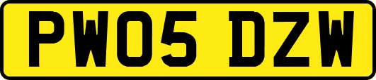 PW05DZW