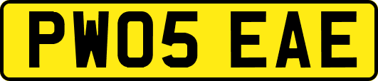 PW05EAE