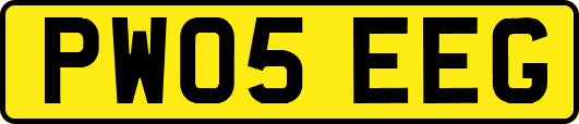 PW05EEG
