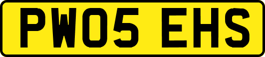 PW05EHS