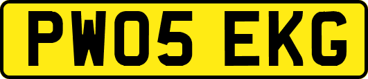PW05EKG