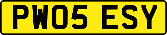 PW05ESY