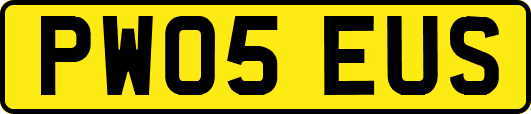 PW05EUS