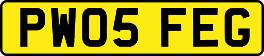 PW05FEG