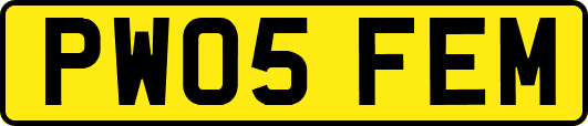 PW05FEM