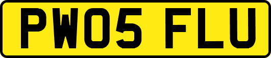PW05FLU