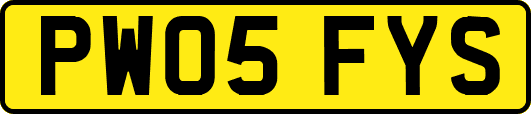 PW05FYS