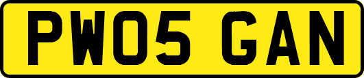 PW05GAN