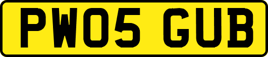 PW05GUB