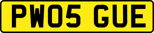 PW05GUE