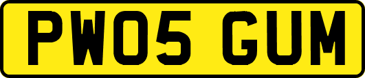 PW05GUM