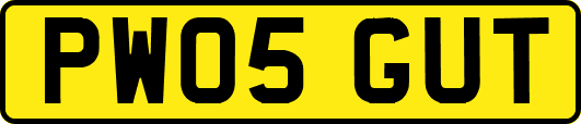 PW05GUT