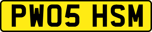 PW05HSM