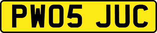 PW05JUC