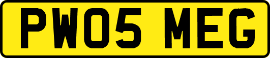 PW05MEG