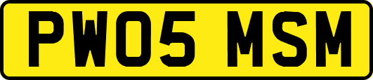 PW05MSM