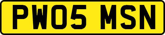 PW05MSN