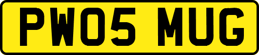 PW05MUG