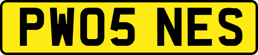PW05NES