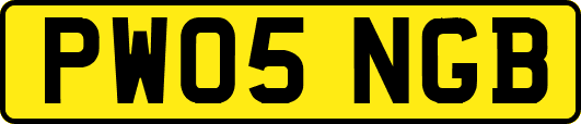 PW05NGB