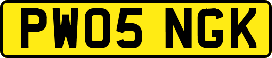PW05NGK