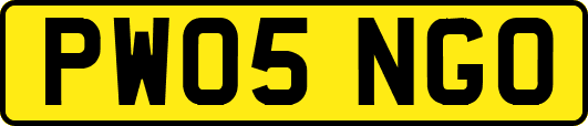 PW05NGO