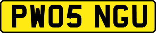 PW05NGU