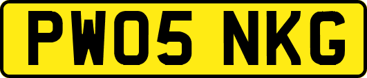 PW05NKG