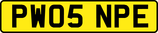 PW05NPE