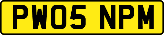 PW05NPM