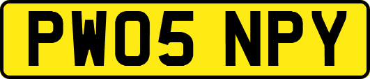 PW05NPY