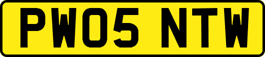 PW05NTW