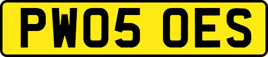 PW05OES
