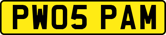 PW05PAM