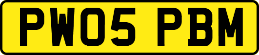 PW05PBM