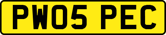 PW05PEC