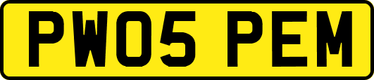 PW05PEM