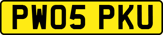 PW05PKU