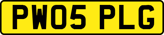 PW05PLG