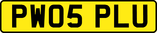 PW05PLU