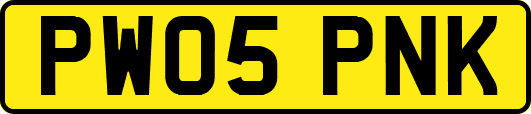PW05PNK