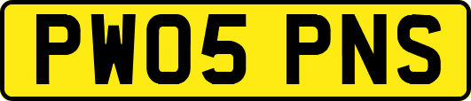 PW05PNS