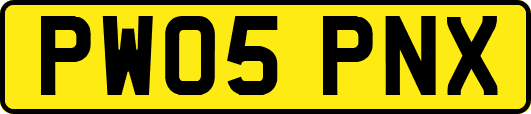 PW05PNX