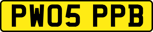 PW05PPB