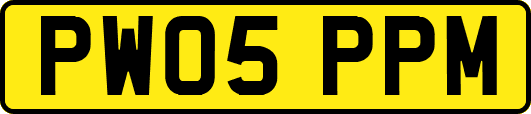 PW05PPM