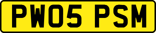 PW05PSM
