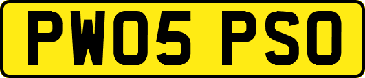PW05PSO