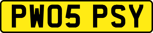 PW05PSY