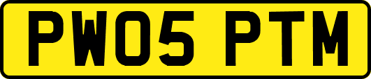 PW05PTM