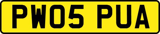 PW05PUA